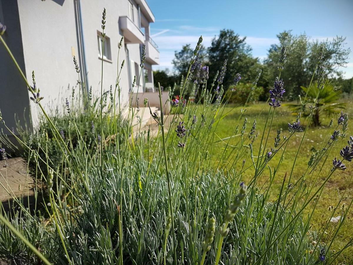 Apartment Vitalia 2+2 Poreč Eksteriør bilde
