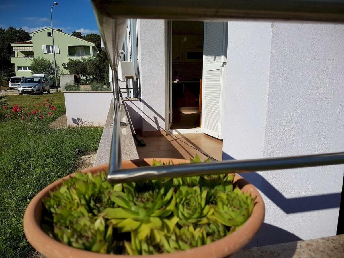 Apartment Vitalia 2+2 Poreč Eksteriør bilde